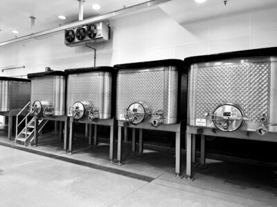 3 1/2 Ton Open Top Pinot Noir Tanks